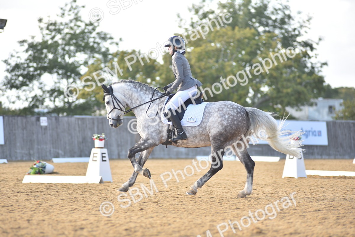 SBM_29736 - D16 -Small Tour Championship Novice 2