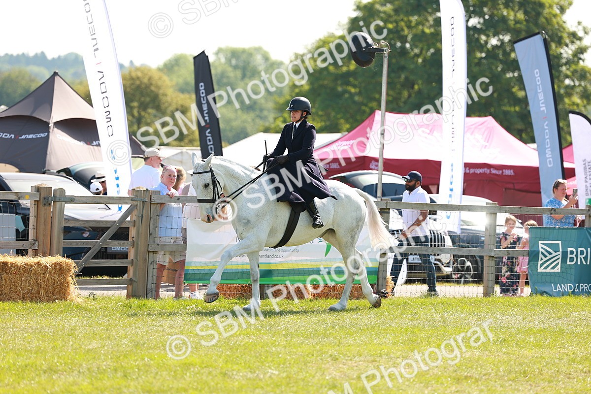 SBM_13170 - Class 70-71 - Side Saddle