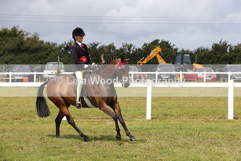 1X9A4234 - Plaited Ridden Championship