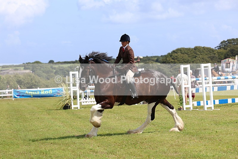 3E7A2894 - Class 13: Heavy Horse Ridden