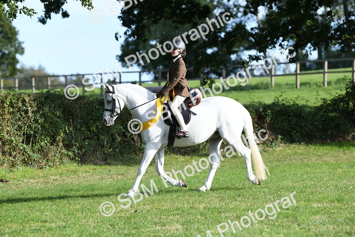 SBM_52082 - S21 - Novice & Newcomers 1st Ridden Pony