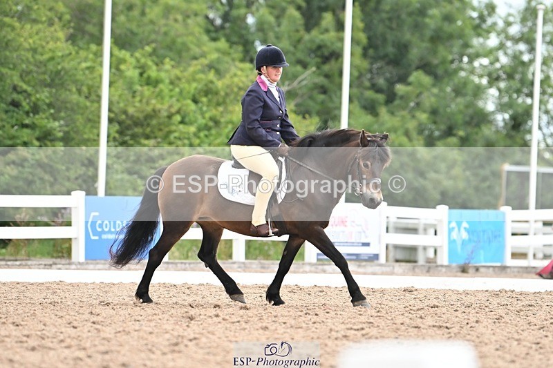 250705-175521-03985 - BRCP4 Sections BRCP4SNR, BRCP4JNR 13.50 to 14.53