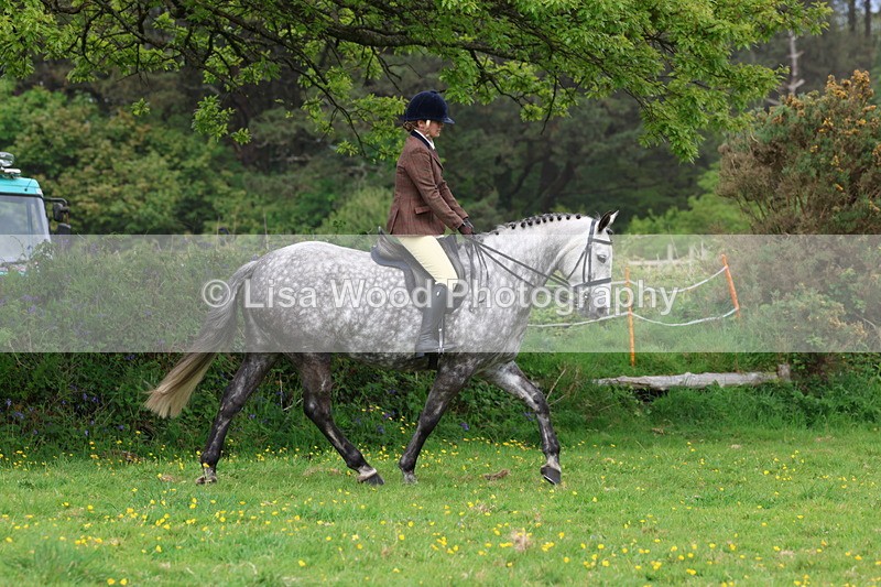 3E7A1715 - Class 9: Riding Club Horse/Pony