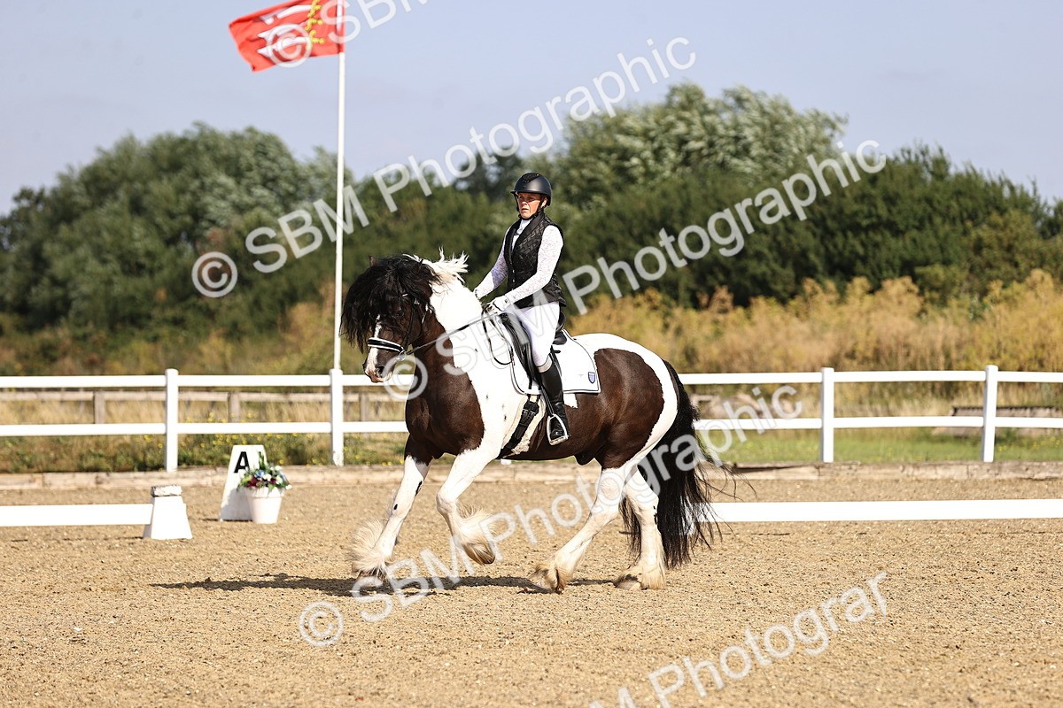 SBM_008635