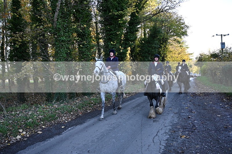 WJ6_9788 - Walk Home