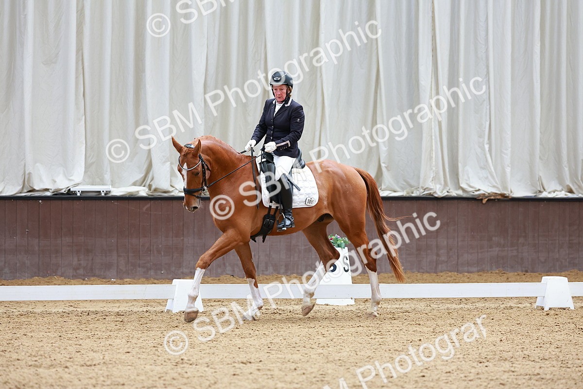 SBM_001358 - Class 5 - Novice 5