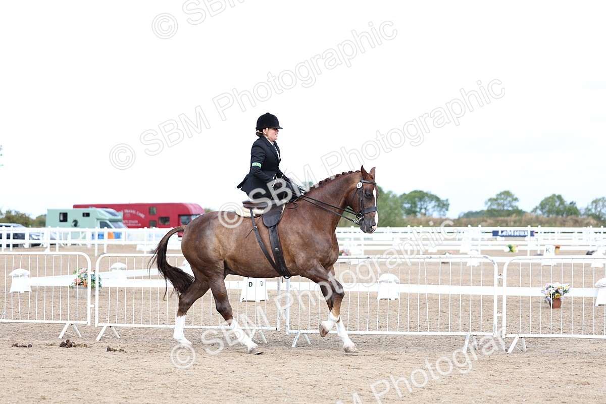 SBM_03195 - Class 22 - SSA Equitation (any age)