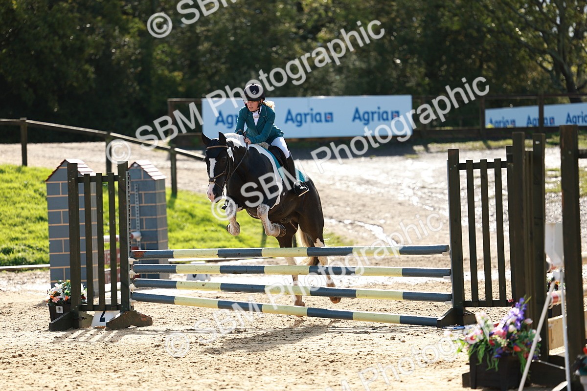 SBM_37903_J39 Senior Horse and Pony 85cm Championship - Natasha Shelton