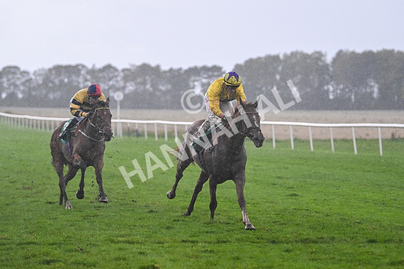 150925-Race 6-Day Of Grace-3144 - Race 6