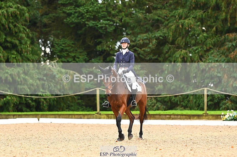 231021-095546-12625 - 228-CHEVALIAN.DUCATI-Hannah.Hobhouse-DR