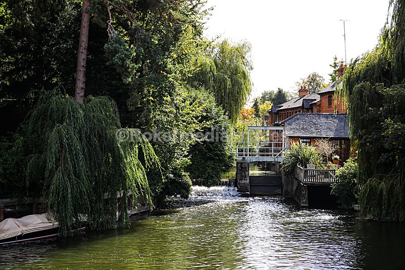  - Out N about in Henley