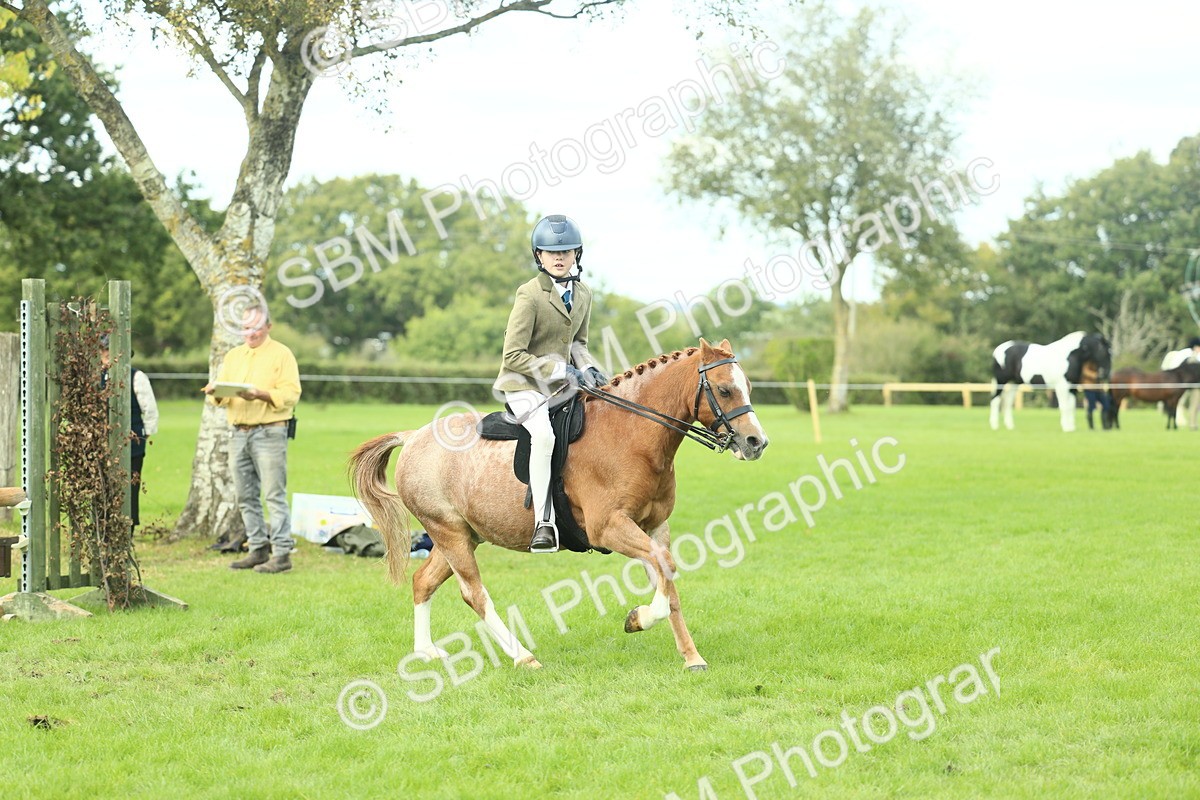 SBM_44687 - S31 - Working Hunter Pony