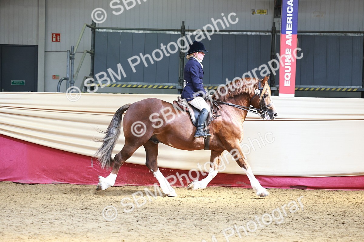 SBM_23317 - class 906 - Supreme Final - Ridden Pre Vet