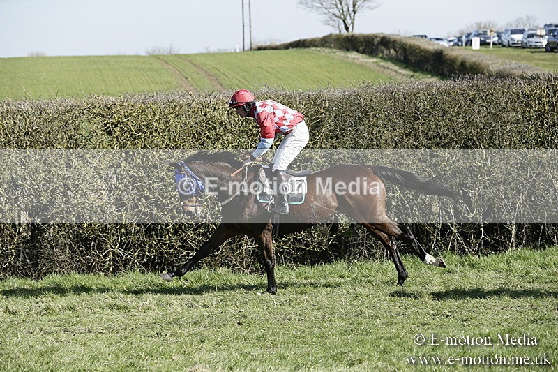PtP 250317 200 - V.W.H. Hunt Point-to-Point Siddington 25/03/17