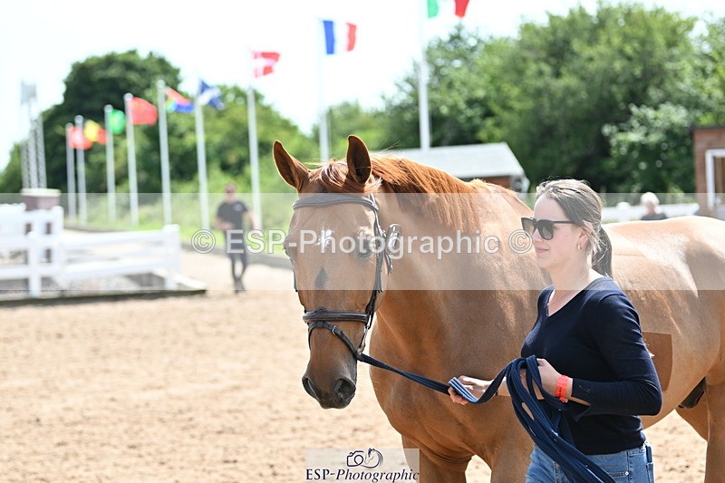 240717A-150707-02560 - Trot Up 3pm to 4pm