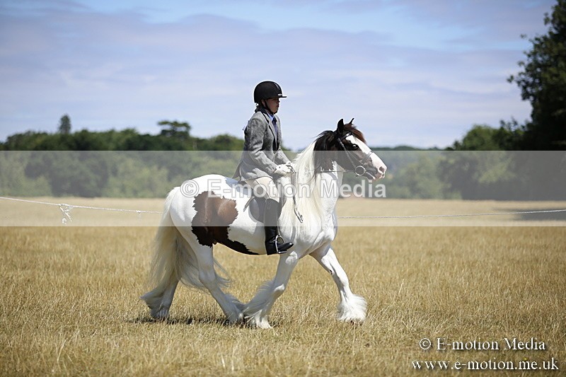 _C7A9827 - BVRC Show 2018 Ring 1