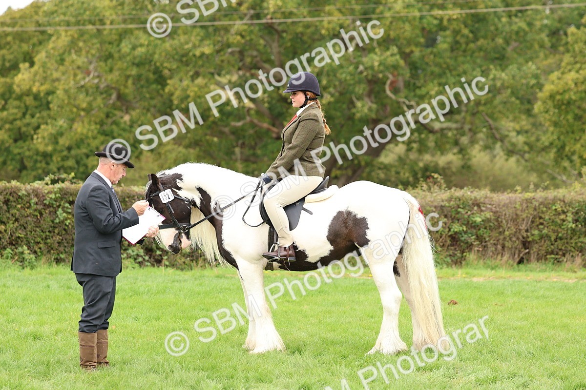 SBM_64476 - S58 - Coloured Pony Ridden