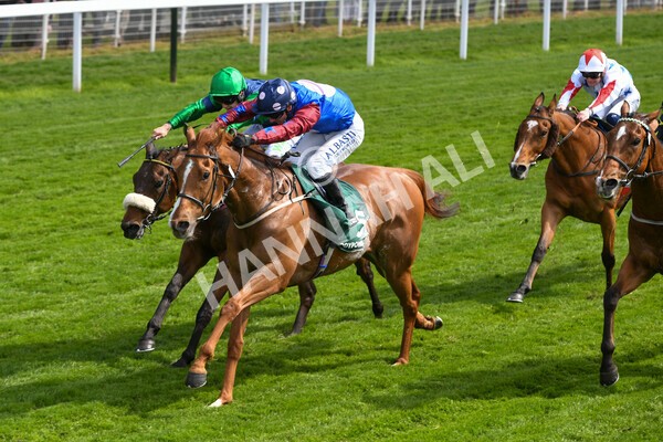 yr12052022r3-16 - Race 3 3.00pm The Paddy Power Hambleton Stakes