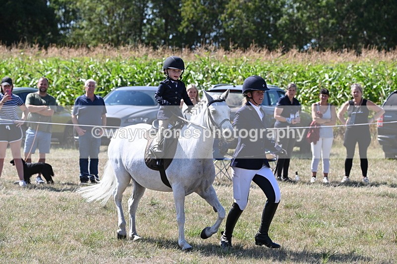 WJ6_8001 - Class 36 Lead Rein