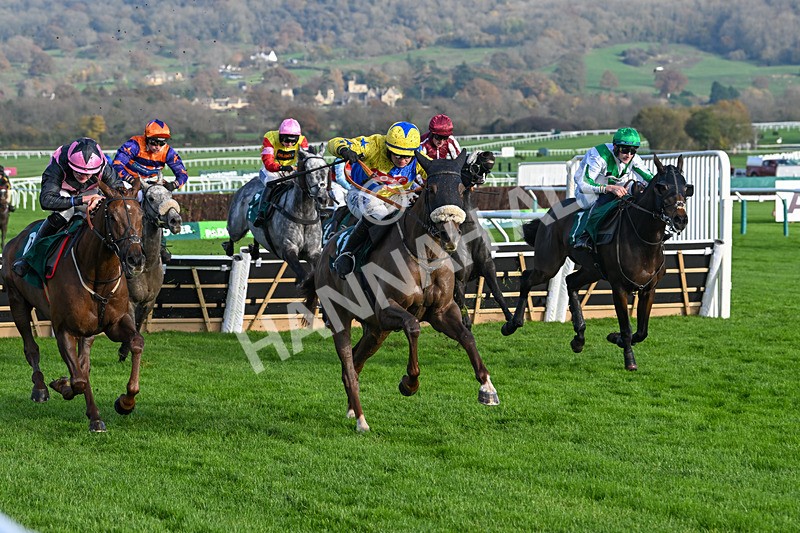 151124-Race 1-Double Powerful-7274 - Race 1