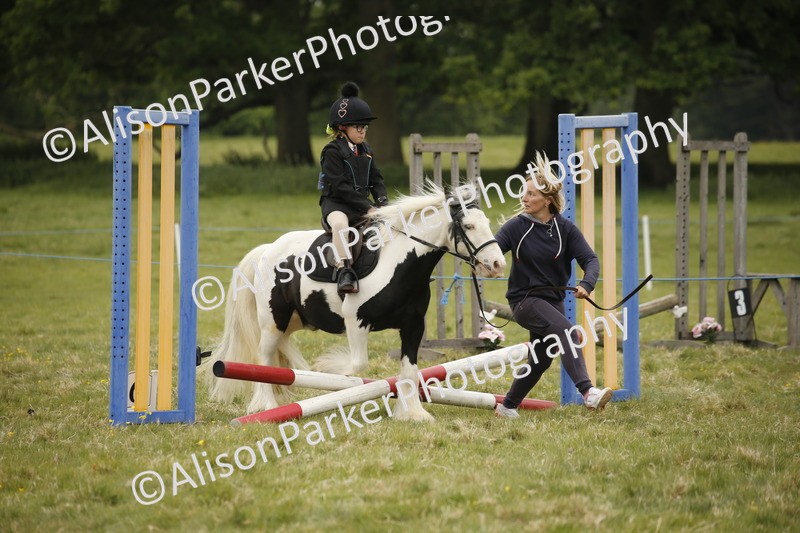 20250517-0220 - Class 1 - 30cm On Lead Rein