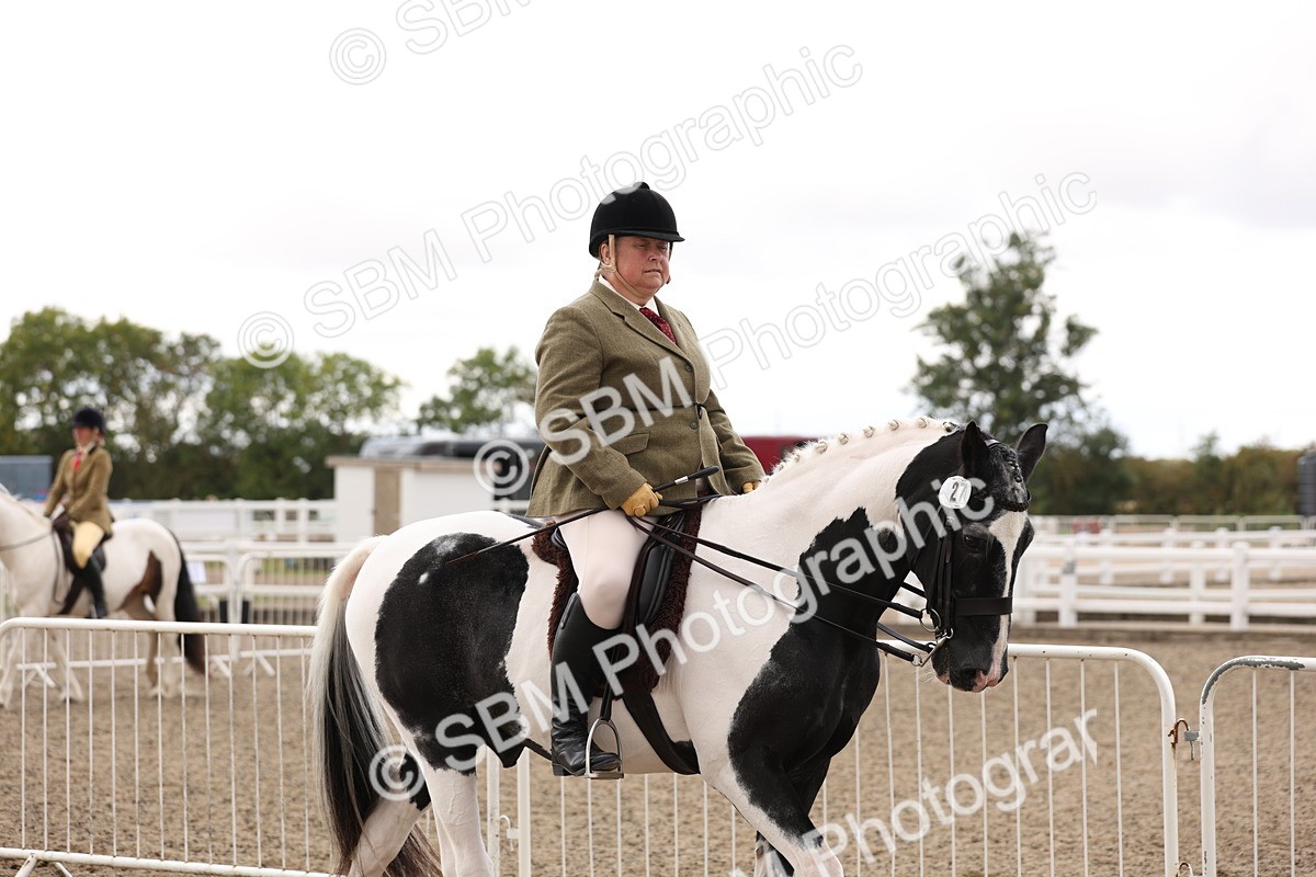 SBM_04174 - Class 54 - Riding Club Horse/Pony