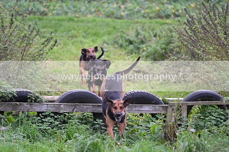 WJ7_8934 - Camera 1 only on this line