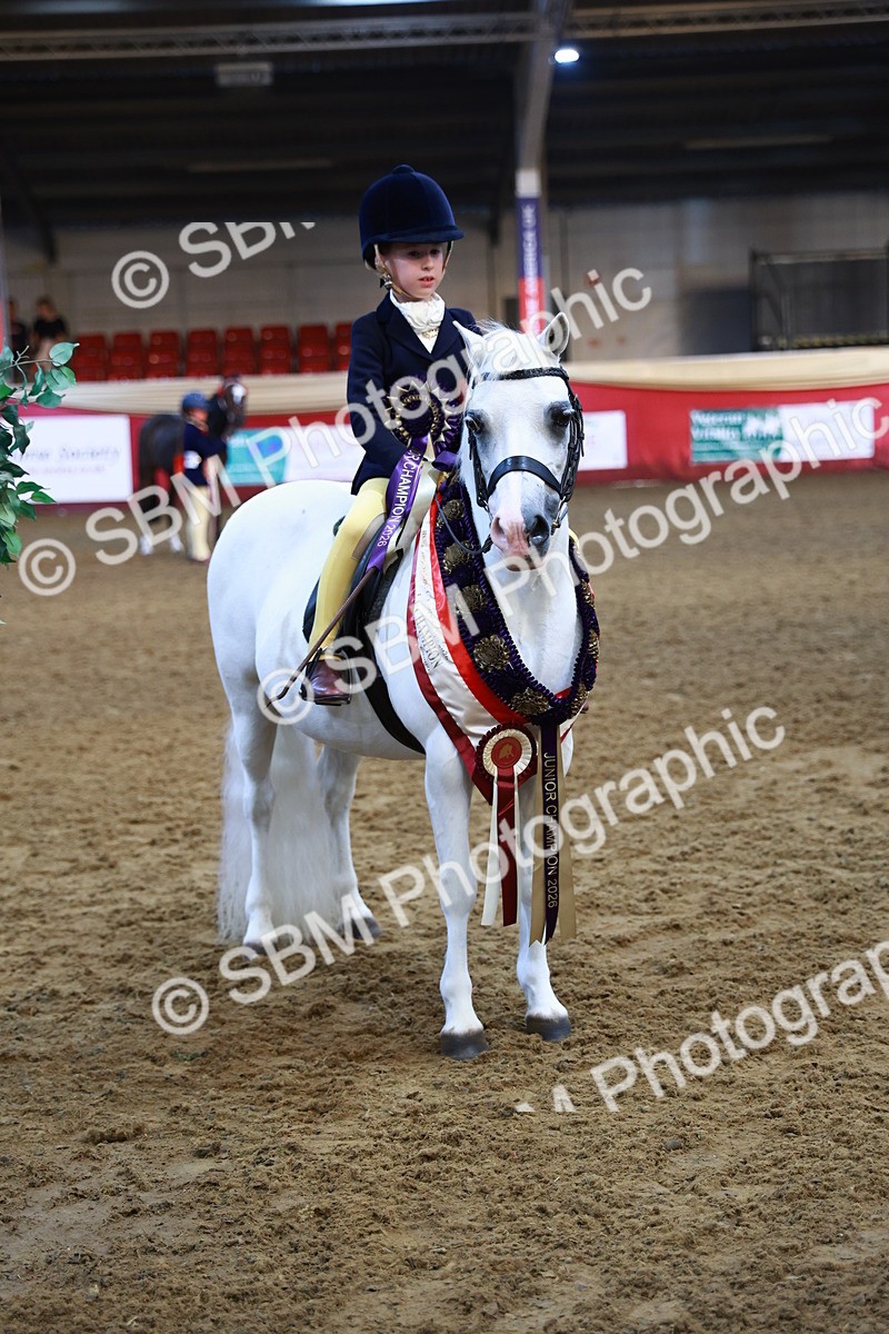 SBM_14628 - Class A - Junior Champ 10 year and Under