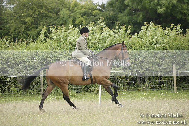 B230619-0964 - Bourne Valley Riding Club Summer Show 23/06/19