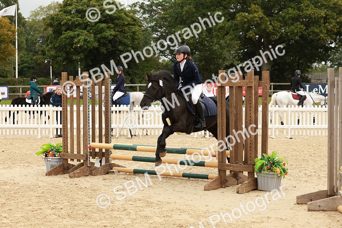 SBM_69222 - J13 - Junior Pony 60cm Championship