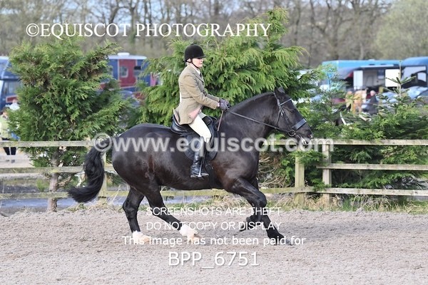 BPP_6751 - RING 1  (RIDDEN HORSES / IN HAND / VETERAN ETC)