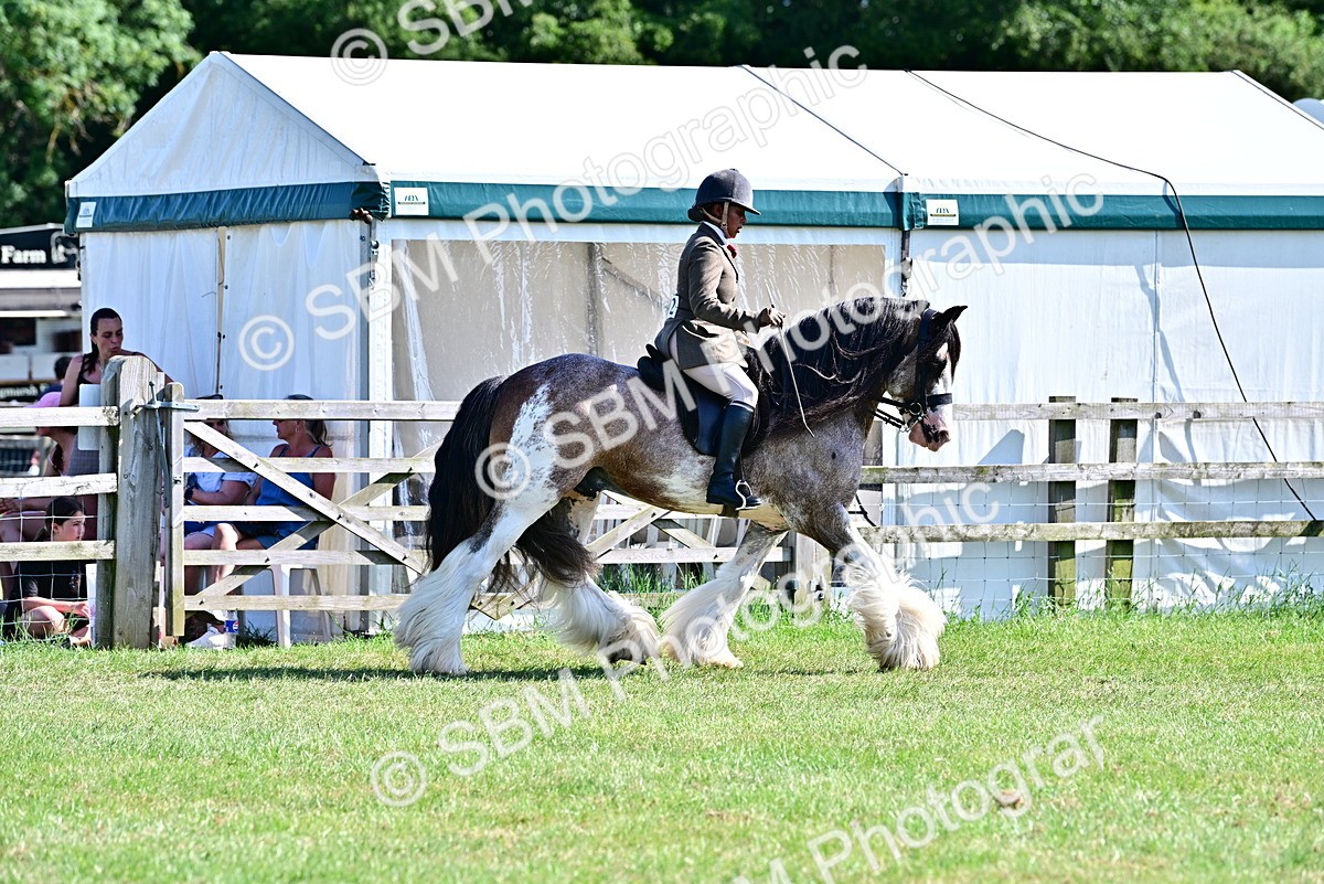 SBM_19428 - Class 101-102 - BSPS LIHS Performance Coloured Horse/Pony