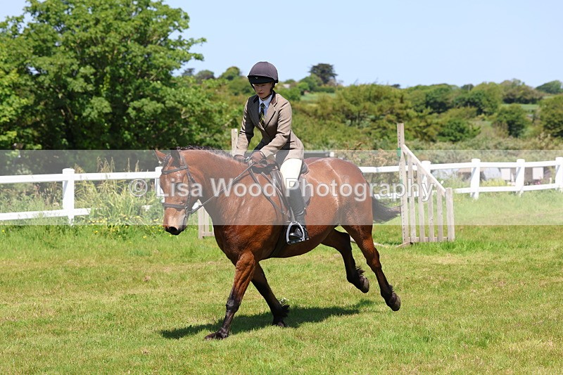 3E7A7284 - Class 30: Novice Working Hunter