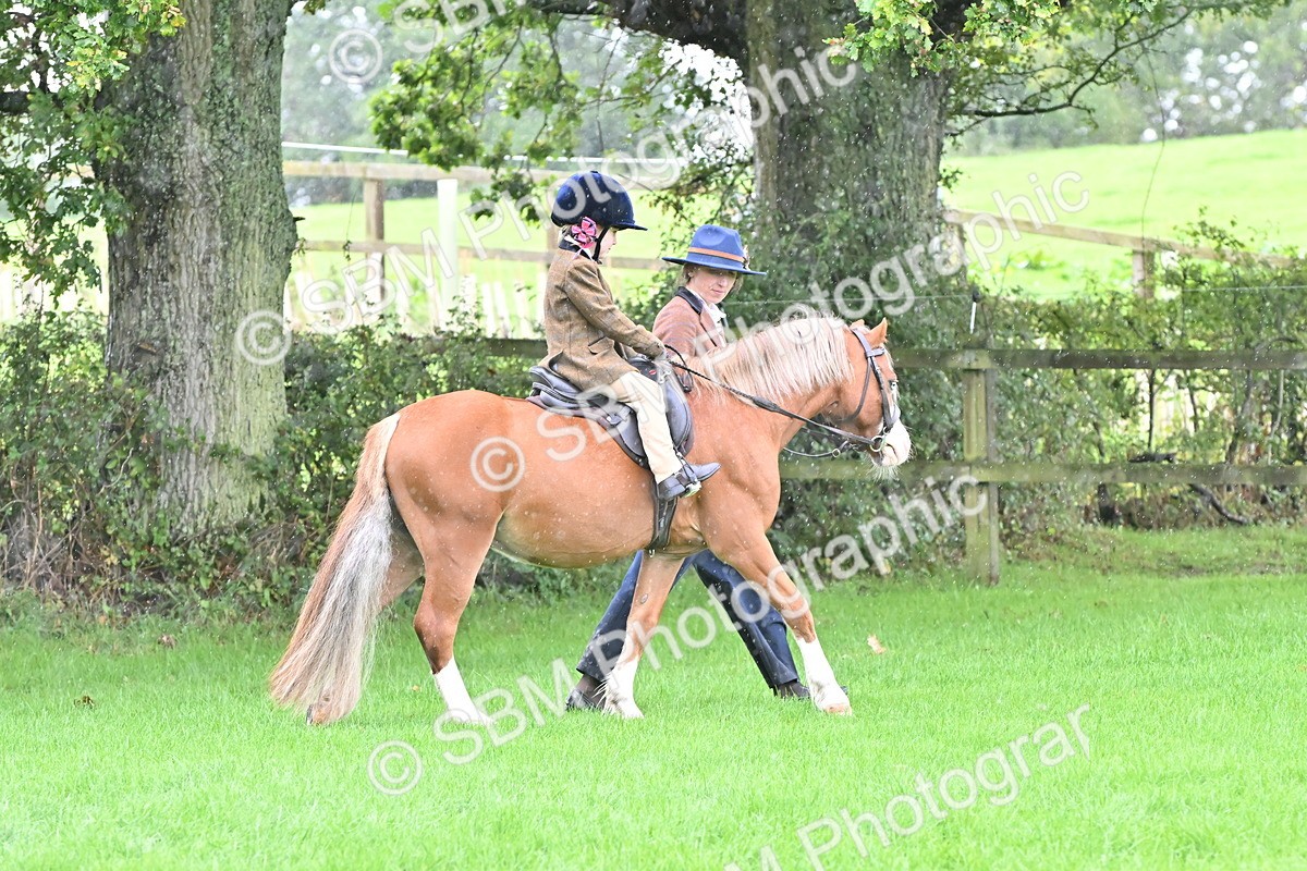 SBM_40108 - S20 - Lead Rein Mountain & Moorland Pony