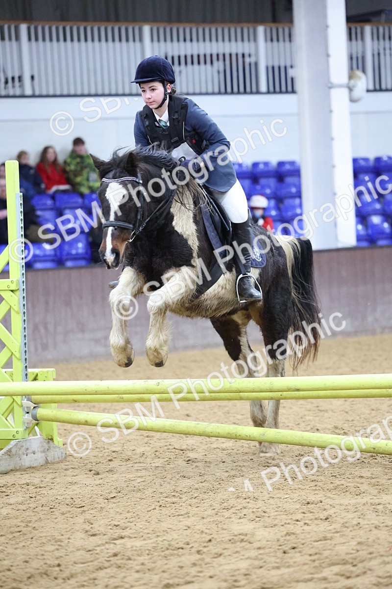 SBM_001181 - Class 3 - Christmas Tree Stakes - 60cm