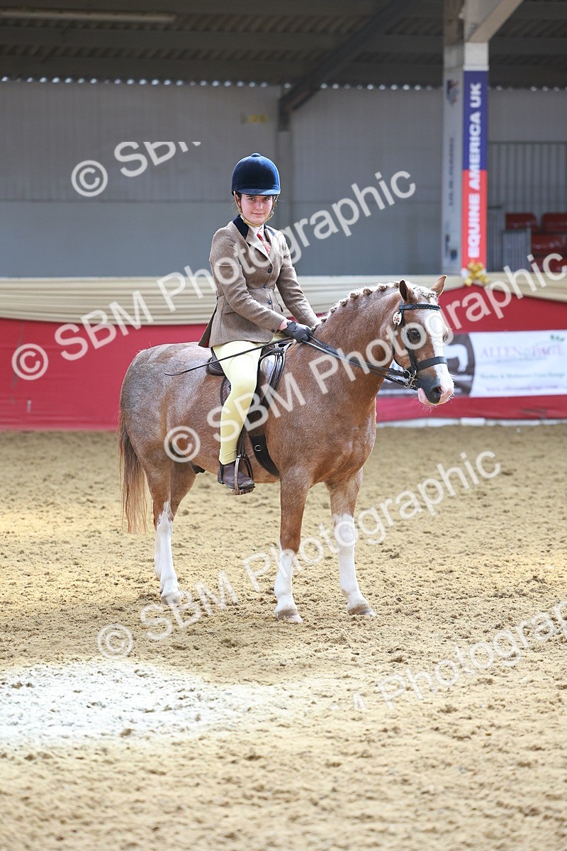 SBM_12638 - Class 103 - HOYS Veteran Qualifier - Ridden Pre Vet
