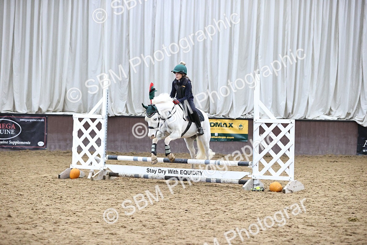 SBM_001248 - Class 3 - Horse & Hound 60cm