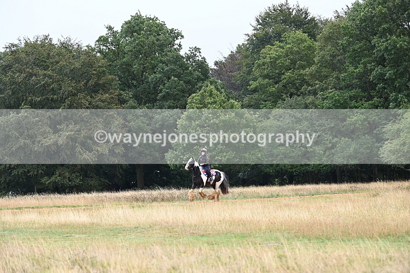 DSC_1908 - Time at Statue 12:13 to 12:32