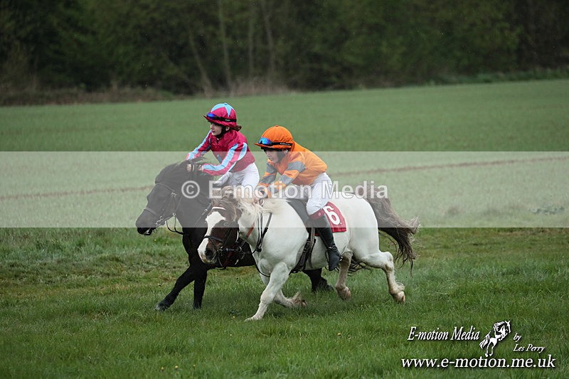 SHETPR 210425 88 - Shetland Ponies Paxford Races 21/04/25