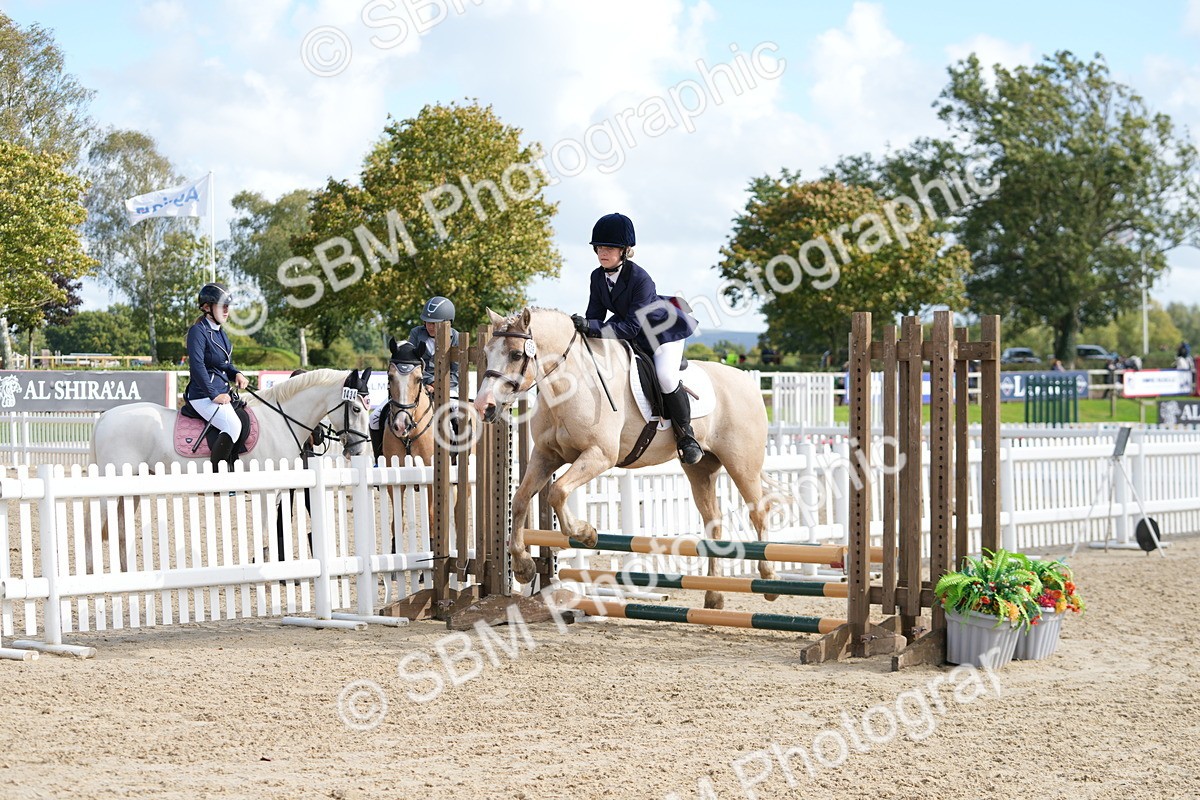 SBM_48489 - J7 - Junior Pony 60cm Championship