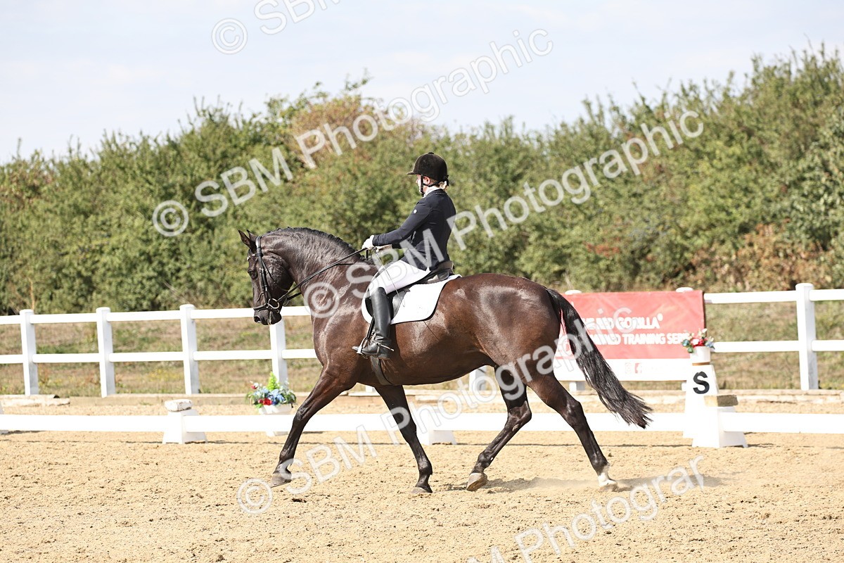 SBM_014873 - Class 7 - Medium 3