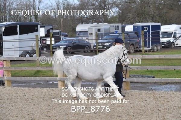 BPP_8776 - RING 2 - M&M