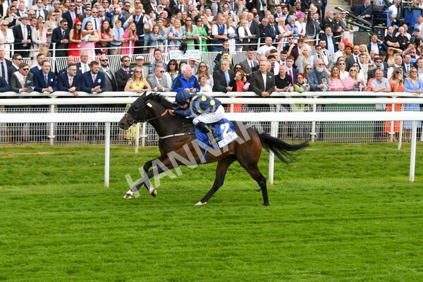 yr11062022r5-32 - Race 5 3.40pm The Pavers Foundation Catherine Memorial Sprint Stakes