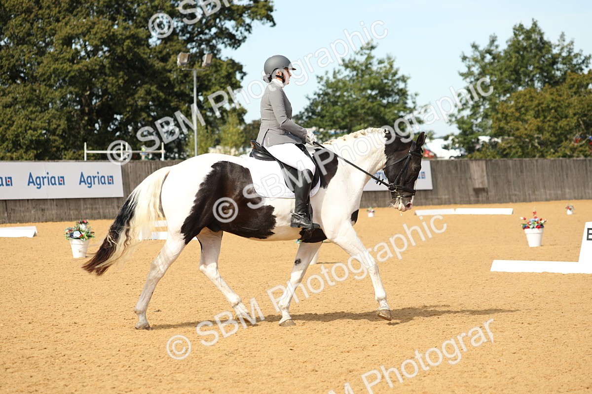 SBM_22246 - D17 - Grand Tour Championship - Novice 27