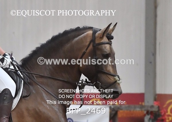 BPP_2469 - AFTERNOON 12.30 - 3.30PM