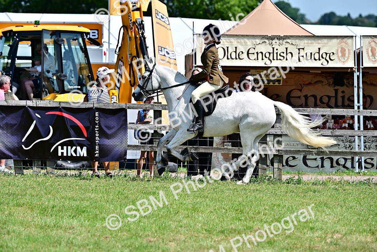 SBM_15386 - Class 95-97 - BSPS LHS Performance Ponies
