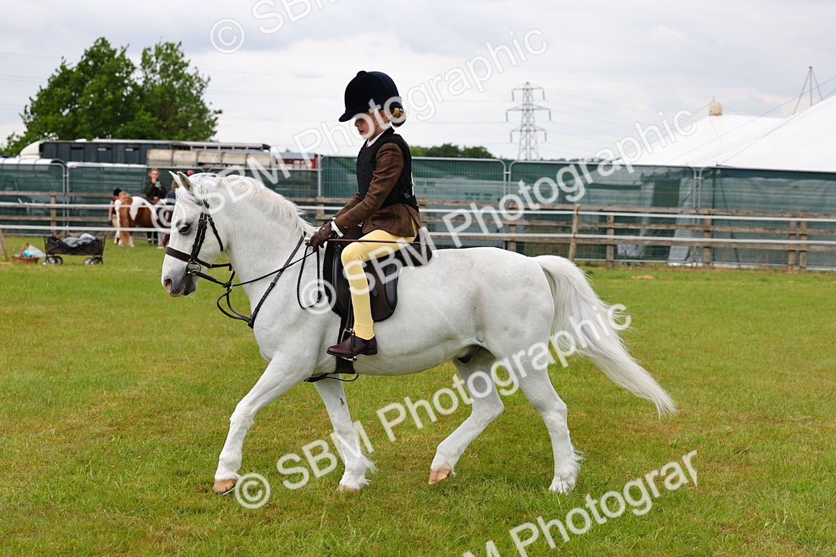 SBM_08655 - Class 42-43 - LIHS BSPS Heritage Working Sports Pony