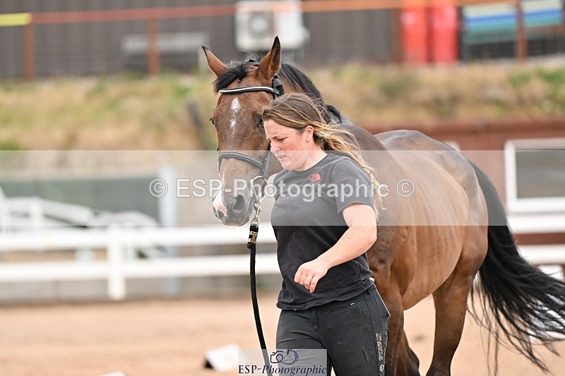 250716-155425-02270 - Trot Up 3.30 to 4.30