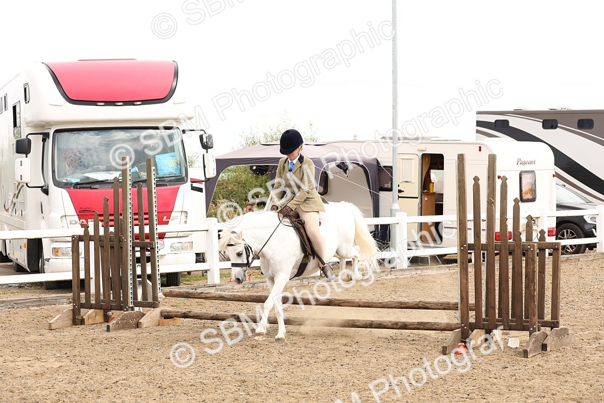 SBM_05186 - Class 56b -  Style & Performance - 50cm (20+)