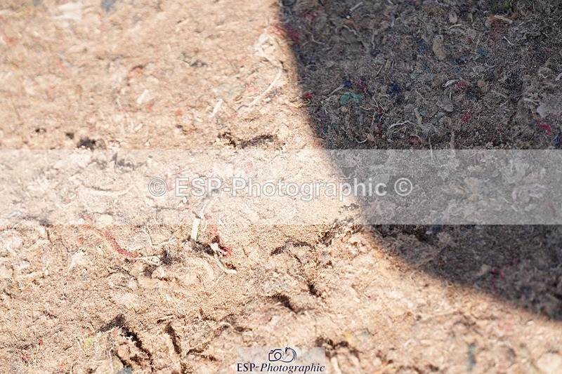 250510-094606-10124 - Cls 14 Snr 1.20m Open